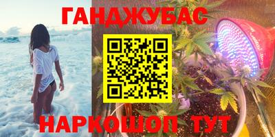 гашик Аргун